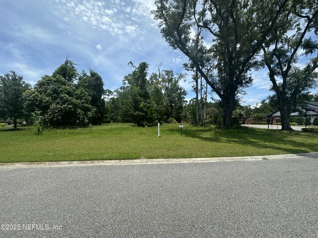 12795 River Story Ct, Jacksonville, FL 32223 - photo 8