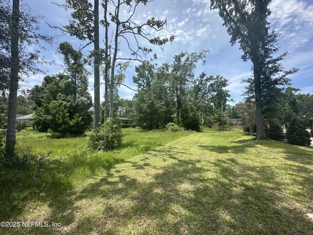 12795 River Story Ct, Jacksonville, FL 32223 - photo 10