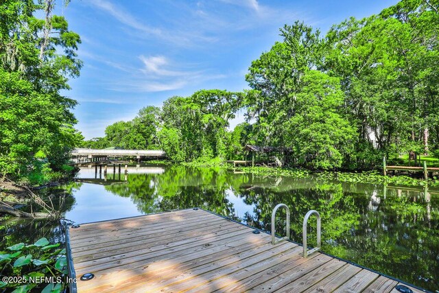 8833 Sanchez Rd, Jacksonville, FL 32217 - photo 62