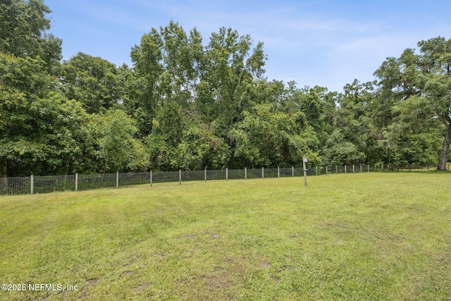 5802 Manning Cemetery Rd, Jacksonville, FL 32234 - photo 68