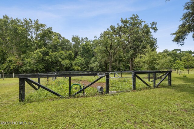 5802 Manning Cemetery Rd, Jacksonville, FL 32234 - photo 69