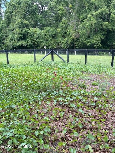 5802 Manning Cemetery Rd, Jacksonville, FL 32234 - photo 88