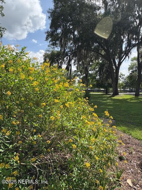 5802 Manning Cemetery Rd, Jacksonville, FL 32234 - photo 109