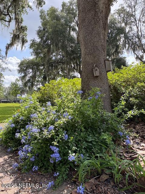 5802 Manning Cemetery Rd, Jacksonville, FL 32234 - photo 110