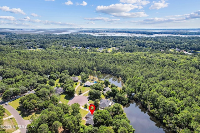 96031 Glen Laurel Ct, Yulee, FL 32097 - drone / aerial view of a forest and a nearby body of water