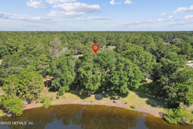 96031 Glen Laurel Ct, Yulee, FL 32097 - bird's eye view of a large body of water