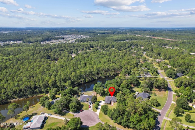 96031 Glen Laurel Ct, Yulee, FL 32097 - aerial view of property's location with a forest and a large body of water