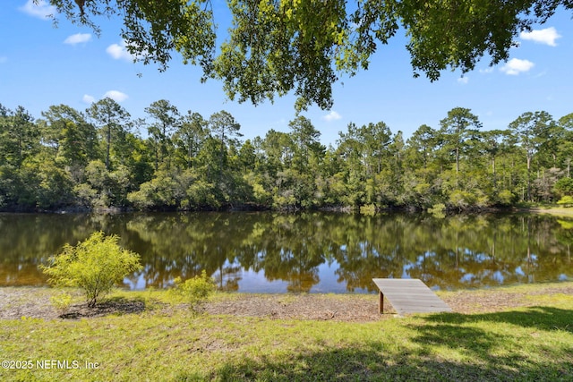 96031 Glen Laurel Ct, Yulee, FL 32097 - water view featuring a forest