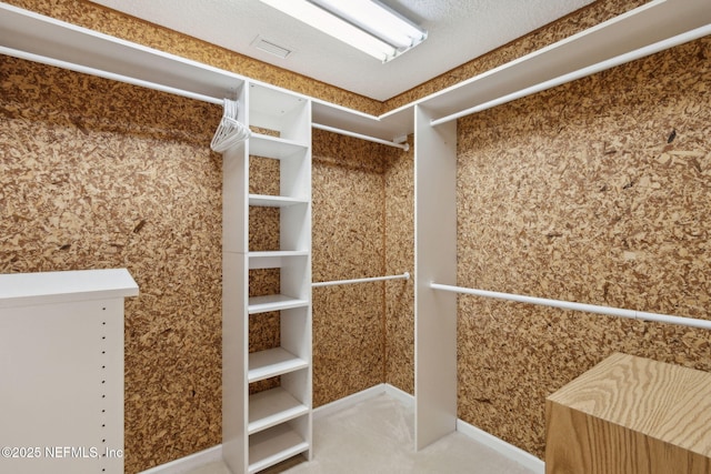 96031 Glen Laurel Ct, Yulee, FL 32097 - view of spacious closet