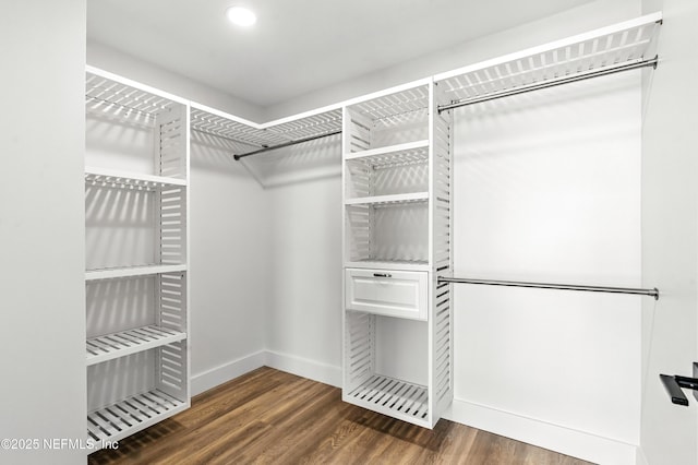 82 Cortez Ave, Saint Augustine, FL 32080 - walk in closet with wood finished floors