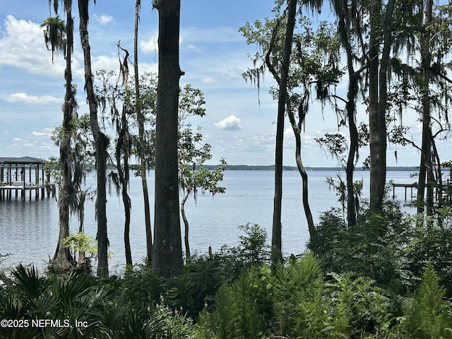 330 Hallowes Cv, Saint Johns, FL 32259 - photo 2