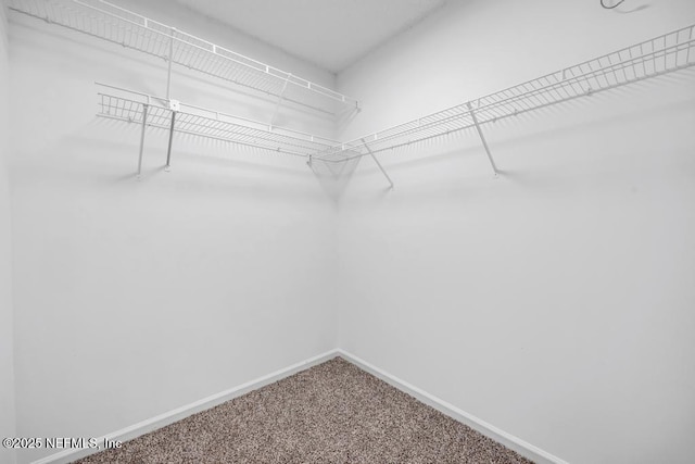 3794 Union Pacific Dr E, Jacksonville, FL 32246 - photo 23