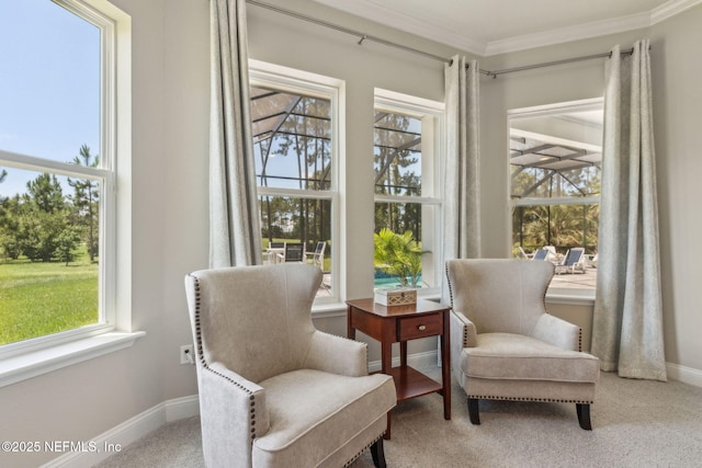 95049 Wild Cherry Dr, Fernandina Beach, FL 32034 - living area featuring ornamental molding and carpet floors