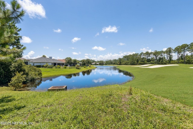 95049 Wild Cherry Dr, Fernandina Beach, FL 32034 - water view