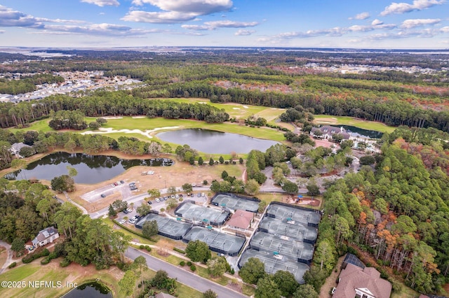 95049 Wild Cherry Dr, Fernandina Beach, FL 32034 - aerial view of property and surrounding area with a large body of water and a golf course