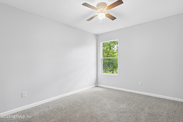 1336 W 30th St, Jacksonville, FL 32209 - photo 18