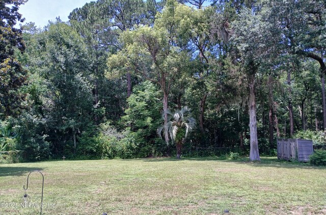 2484 Peach Dr, Jacksonville, FL 32246 - photo 18