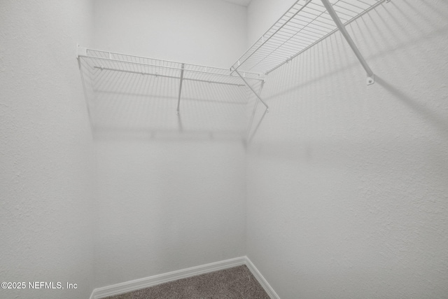 2350 Jayson Ave, Jacksonville, FL 32208 - spacious closet featuring carpet floors