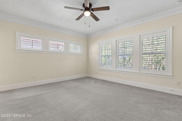 1387 Sunset View Ln, Jacksonville, FL 32207 - empty room with ornamental molding, light colored carpet, and a ceiling fan