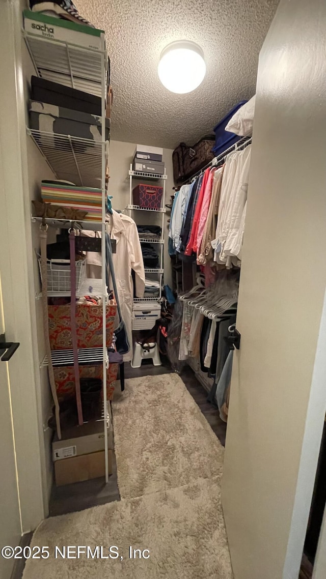 2708 SW 14th Dr Unit 220, Gainesville, FL 32608 - view of spacious closet
