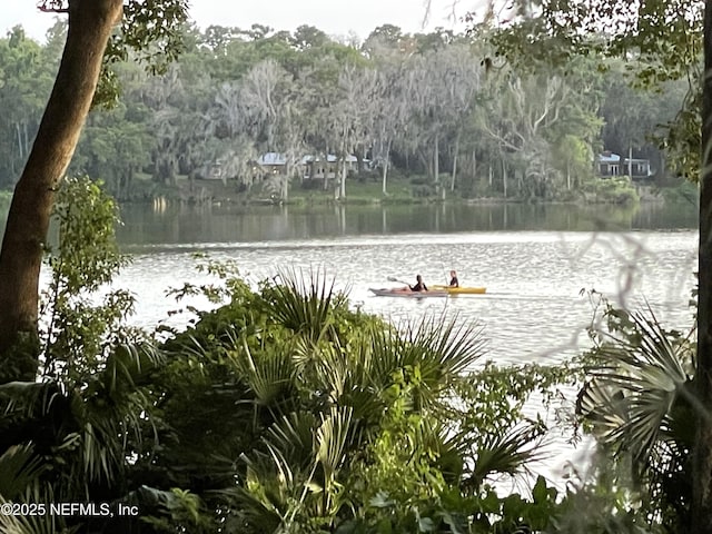 2708 SW 14th Dr Unit 220, Gainesville, FL 32608 - water view featuring a heavily wooded area