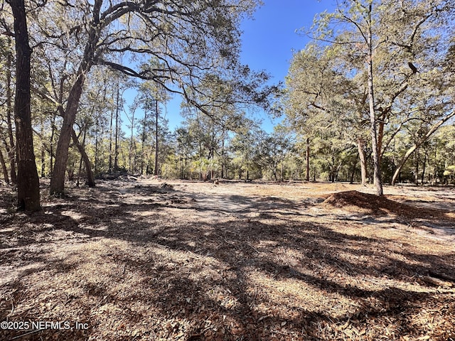 100 Oak Ct, Melrose, FL 32666 - photo 1