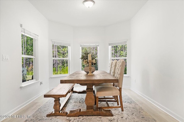 134 Twilight Ln, Saint Augustine, FL 32095 - photo 11