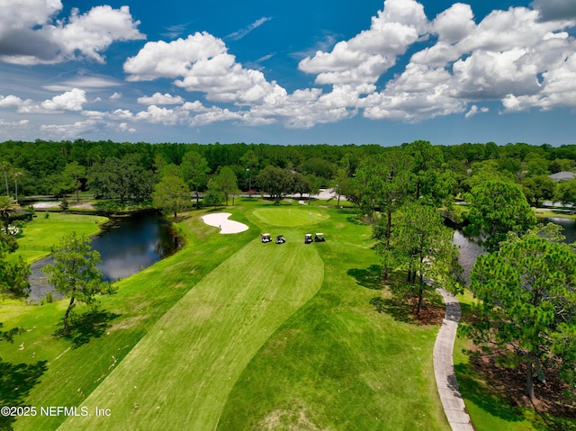 8240 Wallingford Hills Ln, Jacksonville, FL 32256 - photo 59