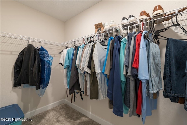 280 Cedar Elm Way, Saint Augustine, FL 32092 - spacious closet with carpet flooring
