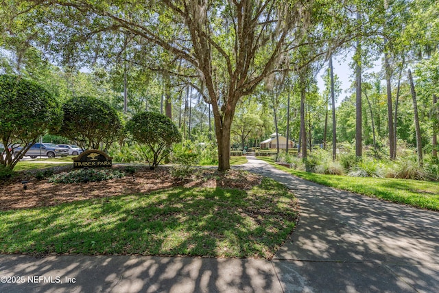 9099 Spindletree Way, Jacksonville, FL 32256 - photo 29