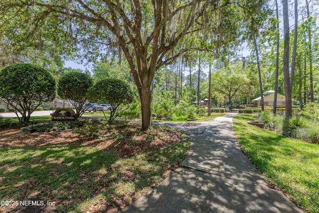 9099 Spindletree Way, Jacksonville, FL 32256 - photo 30