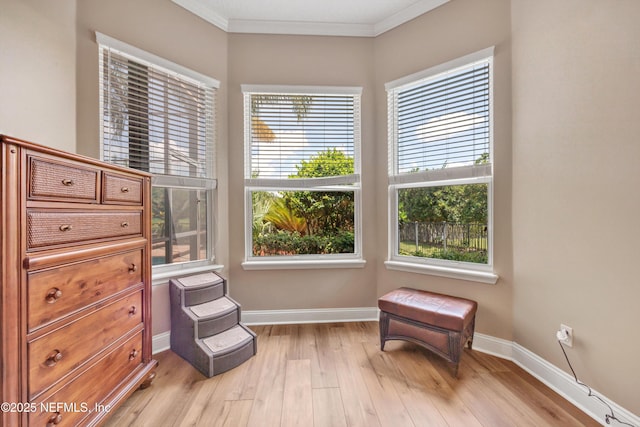 168 Pinehurst Pointe Dr, Saint Augustine, FL 32092 - living area featuring plenty of natural light, light wood finished floors, and ornamental molding