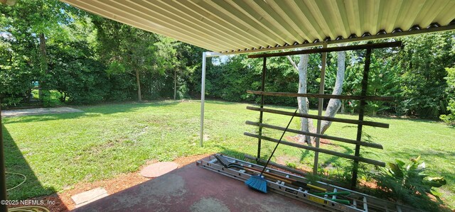 509 Hayton Ave, Orange Park, FL 32073 - photo 20