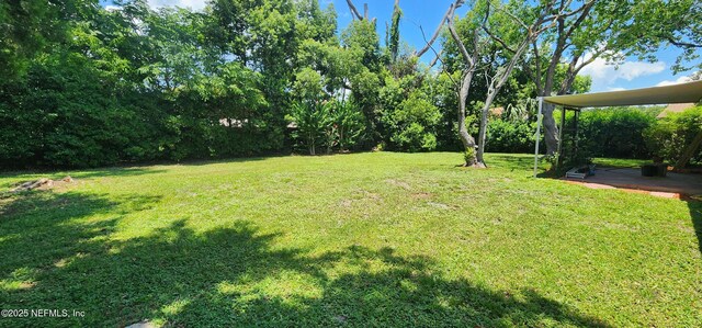 509 Hayton Ave, Orange Park, FL 32073 - photo 23
