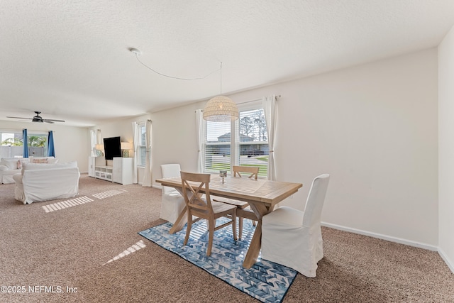 197 Jarama Cir, Saint Augustine, FL 32084 - carpeted dining space with a ceiling fan and a textured ceiling