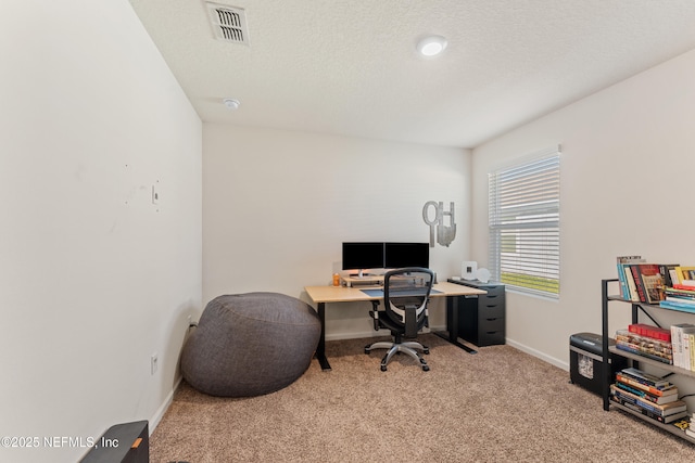 197 Jarama Cir, Saint Augustine, FL 32084 - office space featuring carpet floors and a textured ceiling