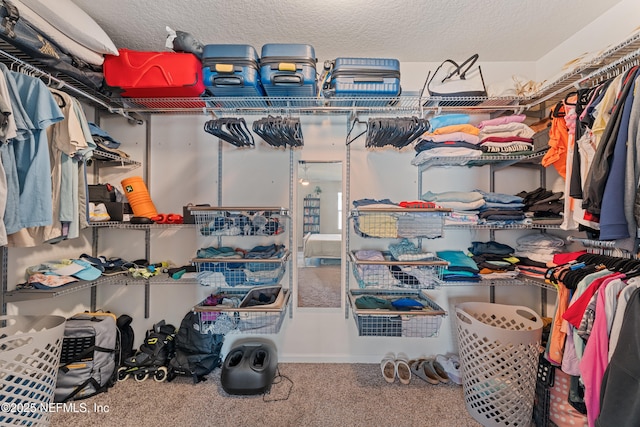 197 Jarama Cir, Saint Augustine, FL 32084 - walk in closet featuring carpet flooring