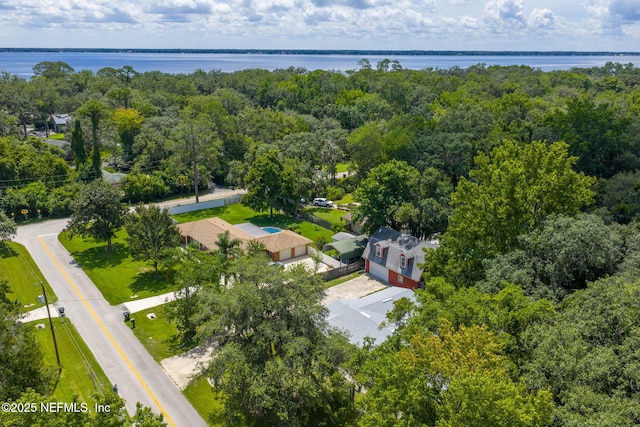 136 Hollywood Forest Dr, Fleming Island, FL 32003 - bird's eye view of a nearby body of water