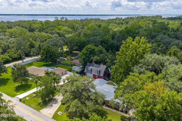136 Hollywood Forest Dr, Fleming Island, FL 32003 - aerial view of a nearby body of water and a heavily wooded area