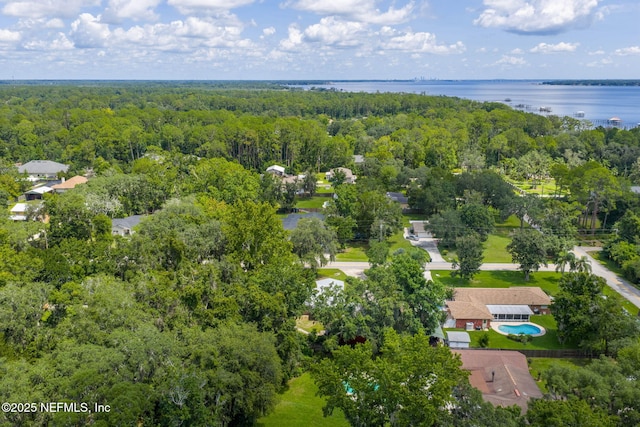 136 Hollywood Forest Dr, Fleming Island, FL 32003 - aerial overview of property's location with a forest and a nearby body of water