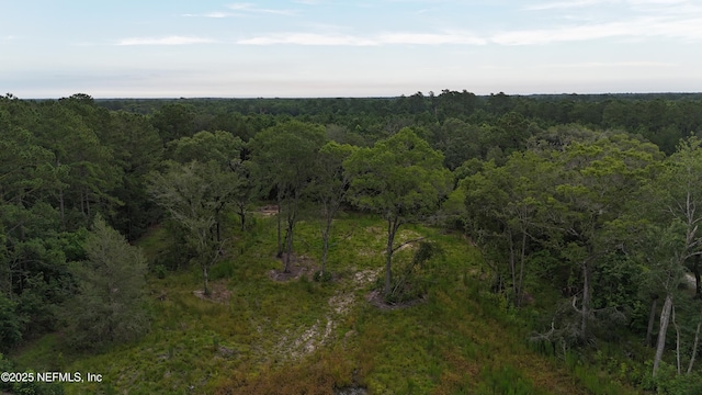 0 Wilbur Jones Rd, Callahan, FL 32011