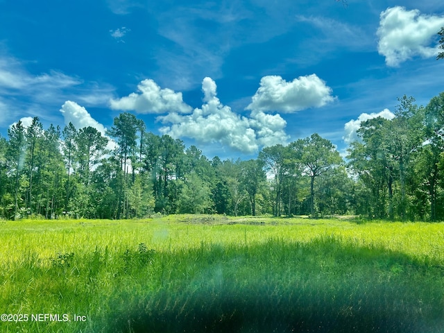 0 Wilbur Jones Rd, Callahan, FL 32011