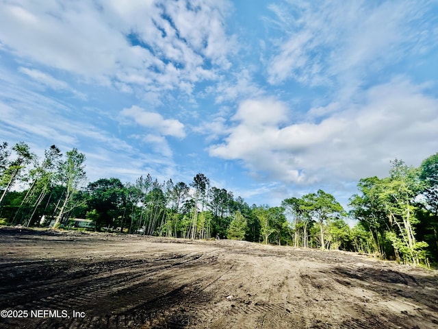 0 Wilbur Jones Rd, Callahan, FL 32011