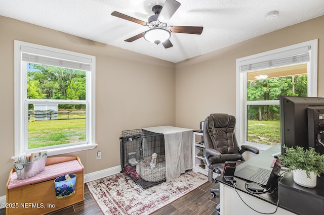 10815 Russell Sampson Rd, Saint Johns, FL 32259 - photo 22