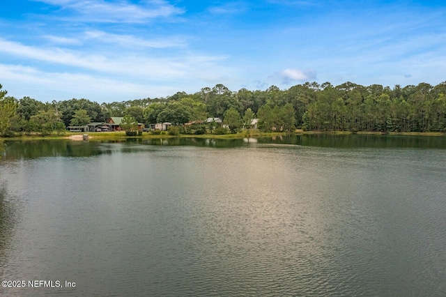10815 Russell Sampson Rd, Saint Johns, FL 32259 - photo 43