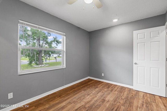 2003 Rayben Dr, Jacksonville, FL 32246 - photo 17