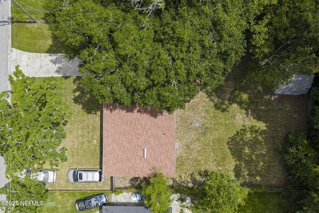 2003 Rayben Dr, Jacksonville, FL 32246 - photo 32