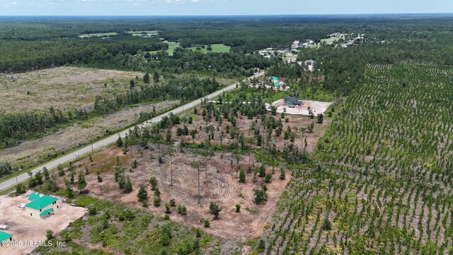 8559 Ford Rd, Bryceville, FL 32009 - photo 6