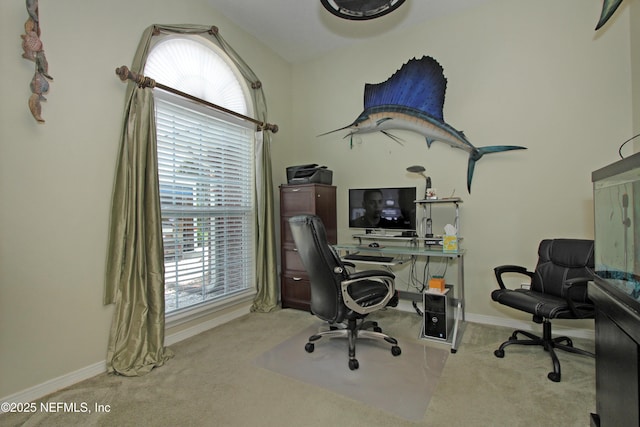 54002 Evergreen Trl, Callahan, FL 32011 - office area featuring carpet and baseboards