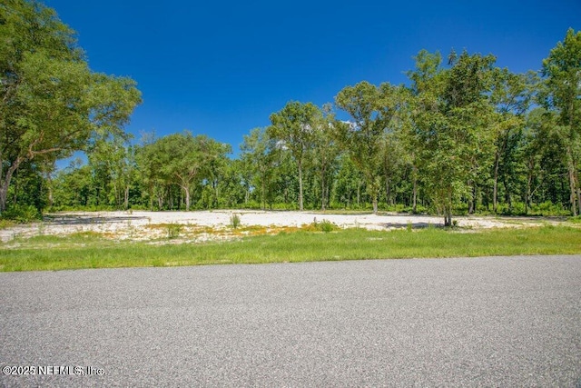 15427 Bullock Bluff Rd, Bryceville, FL 32009